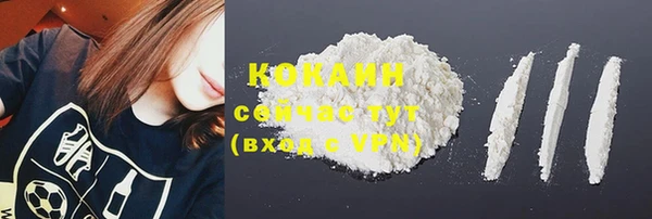 первитин Ельня