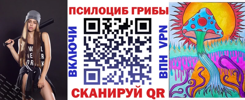 Псилоцибиновые грибы Psilocybe  Купить где  Струнино 